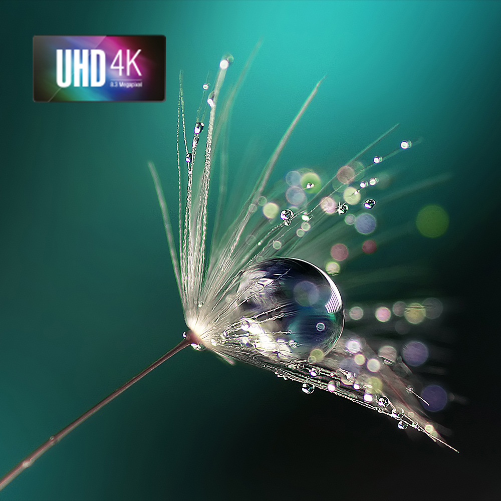4K UHD Resolution