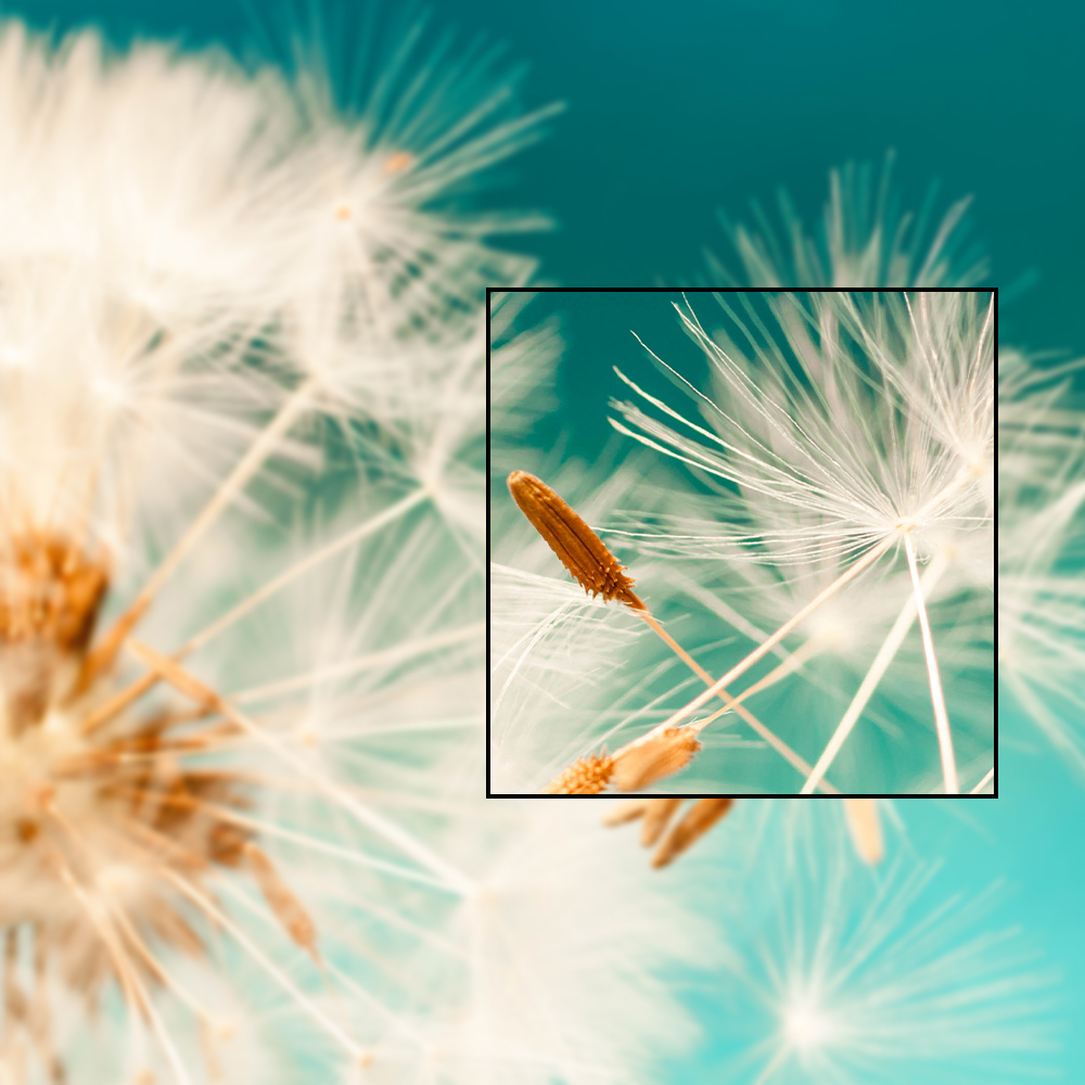 FHD Resolution