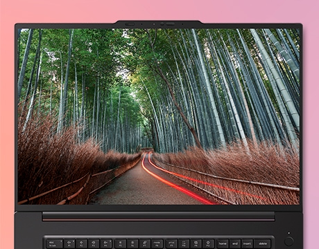 Immersive High-Resolution Display