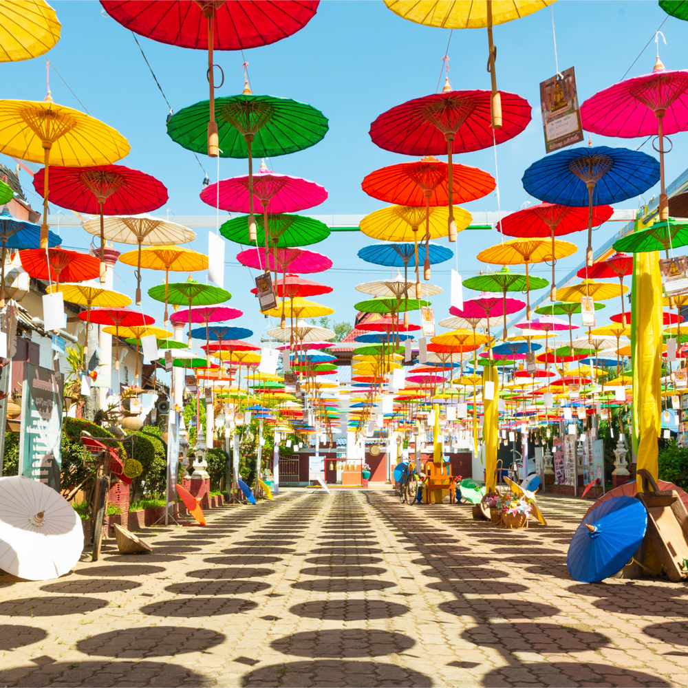 Vivid Colours