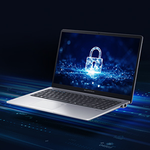 Business-grade security
