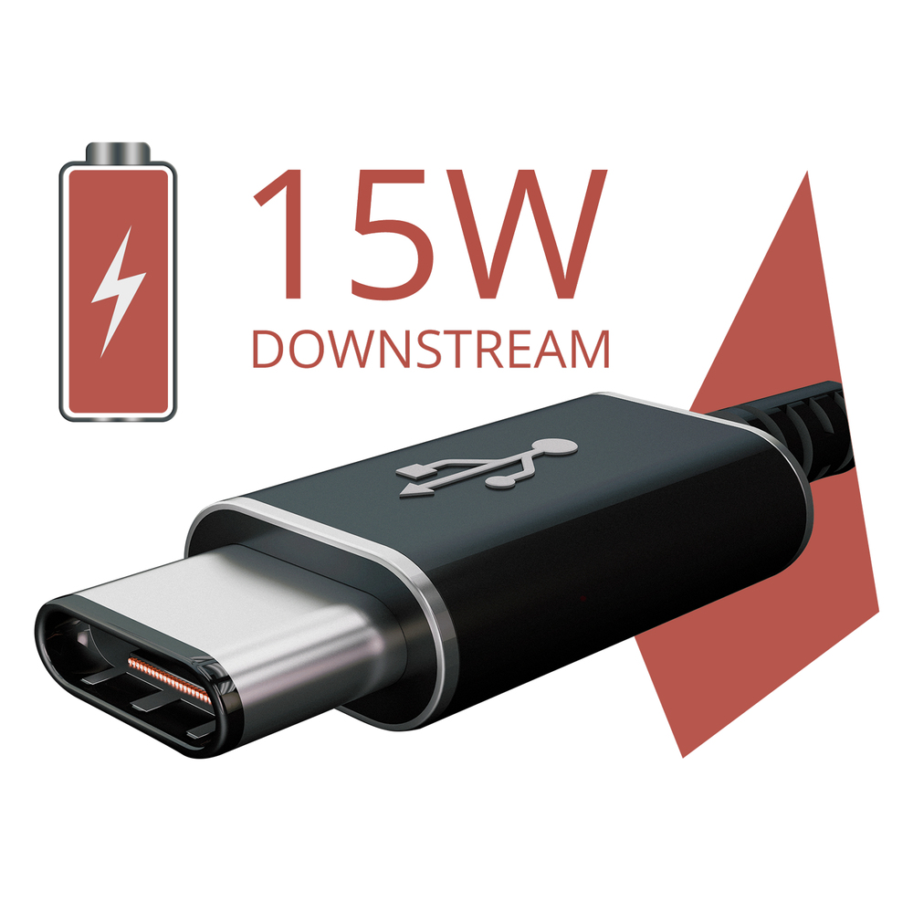 USB-C (15W) downstream ports