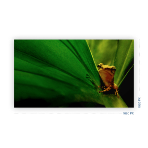 Full HD-resolutie