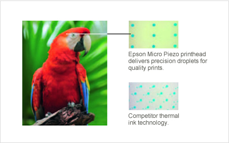 Micro Piezo printhead technology