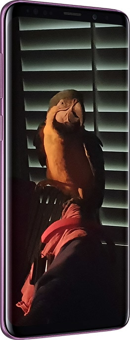 Nessuna differenza tra la foto e ciò che hai visto nell’attimo dello scatto. Anche nel buio.