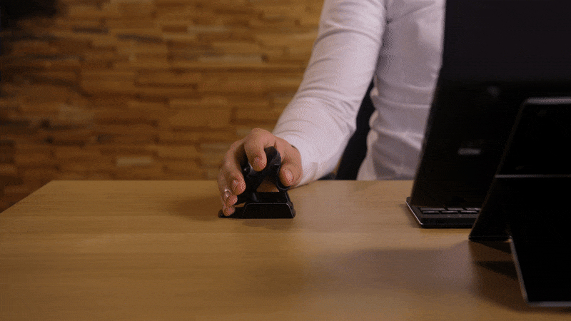 Ambidextrous mouse