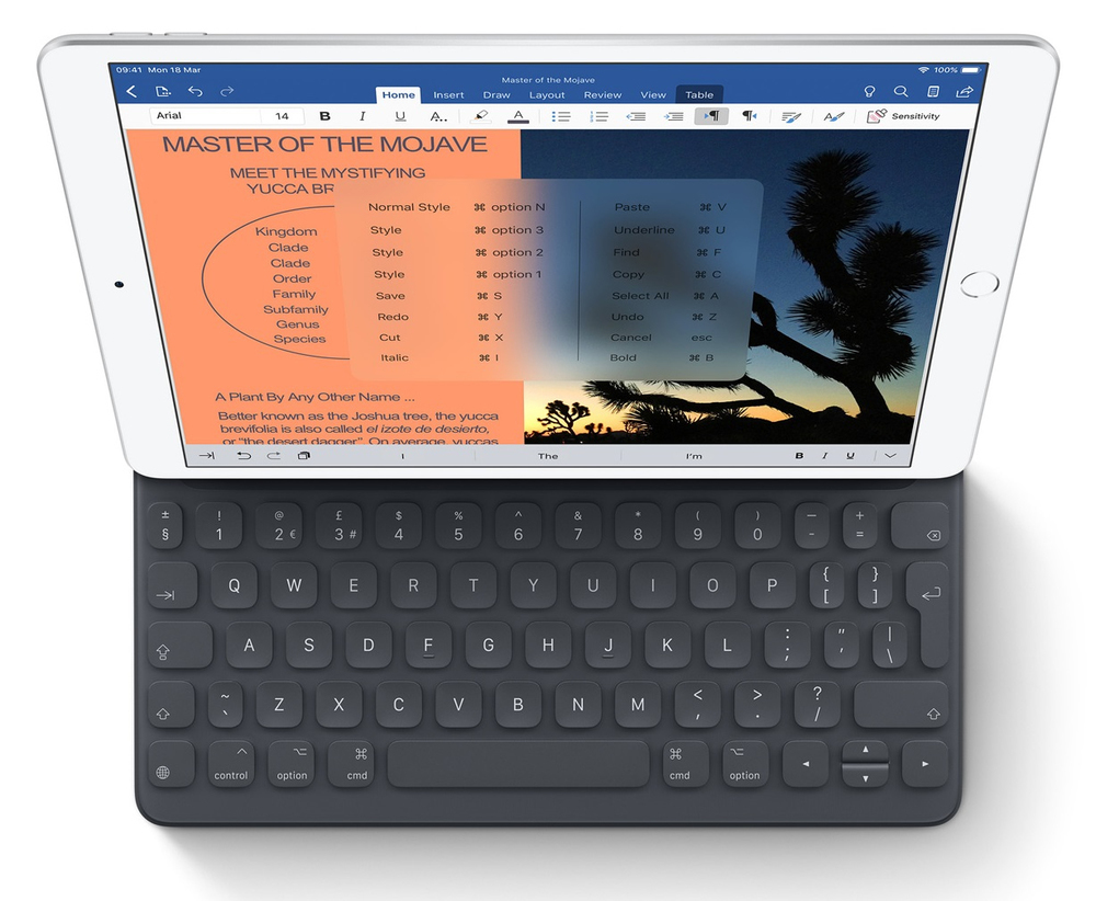Smart Keyboard. Tam boy klavye. Tam ekran koruma.