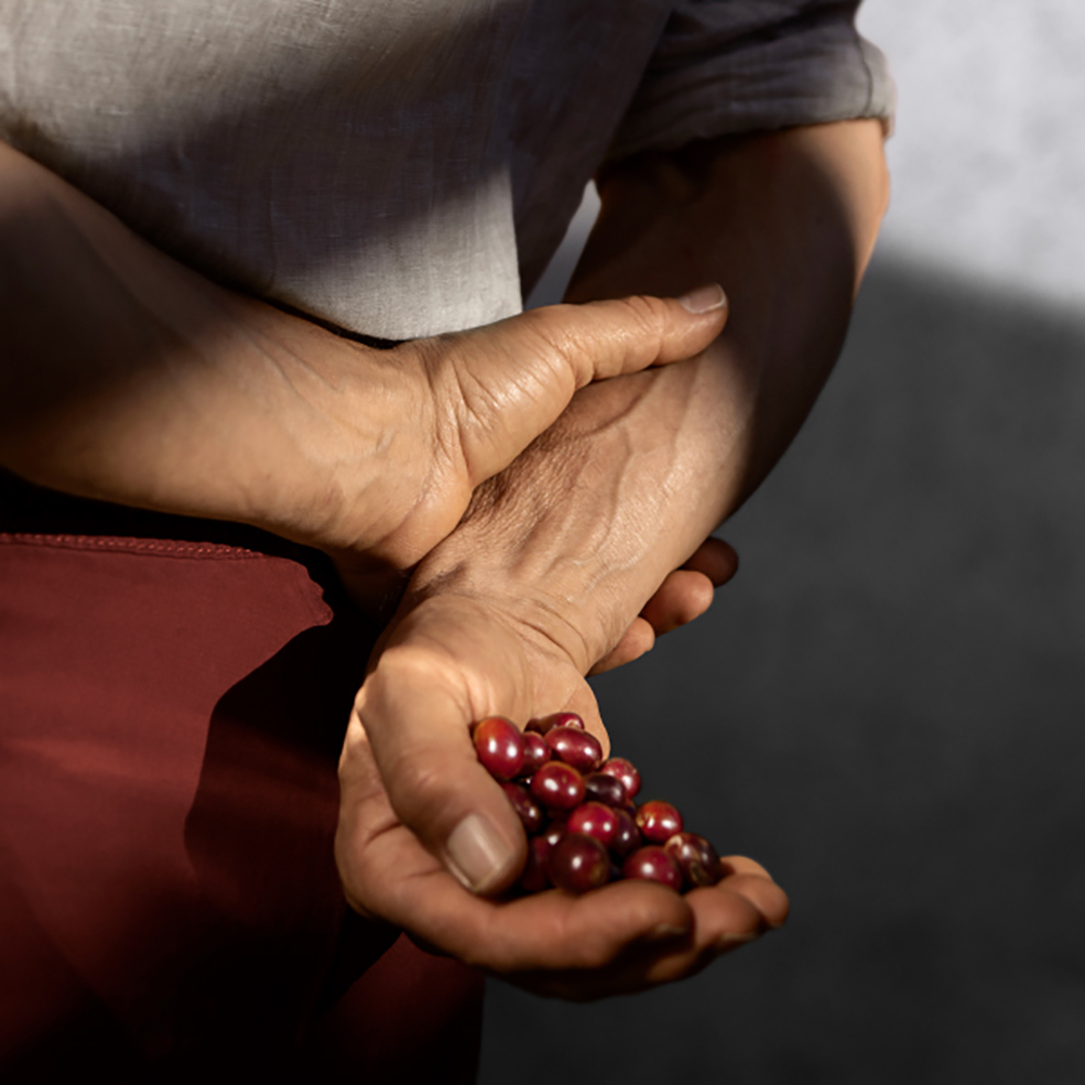 Impegno Che Dà I Suoi Frutti