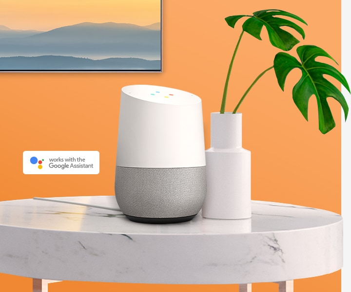 Google Assistant