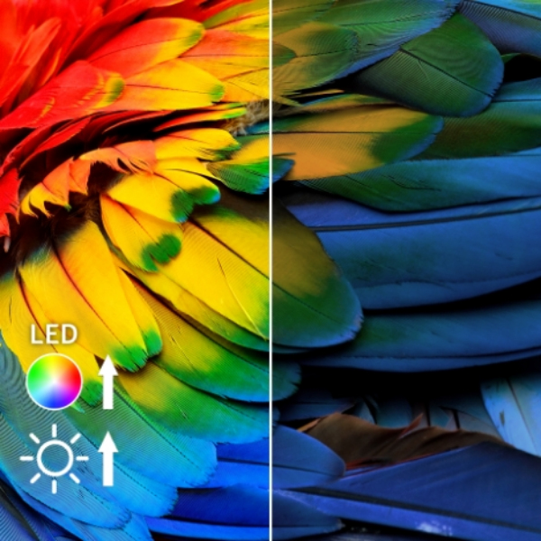 <b> Visibly Improved LED Brightness </b>