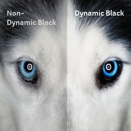 <b> Expressive Levels of Contrast </b>