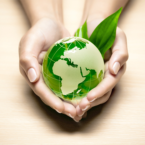 <b> Friend to the Environment </b>