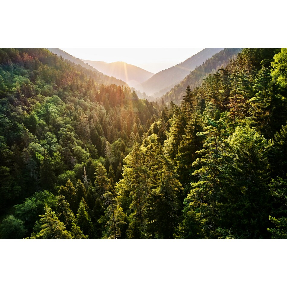 Advancing Sustainability