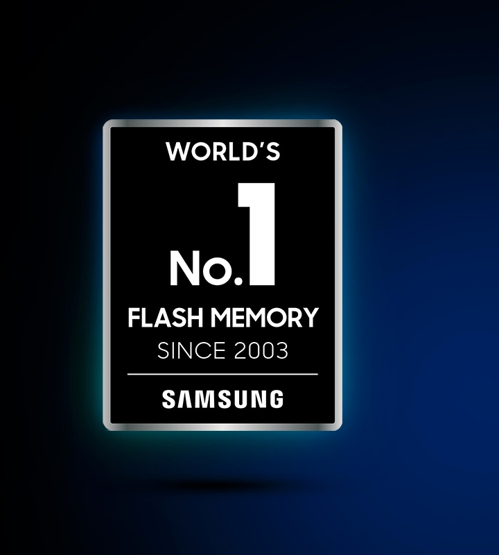 La memoria flash n. 1 al mondo