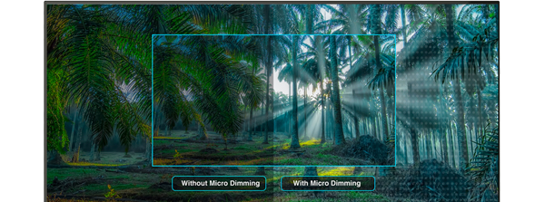 Micro Dimming for better contrast