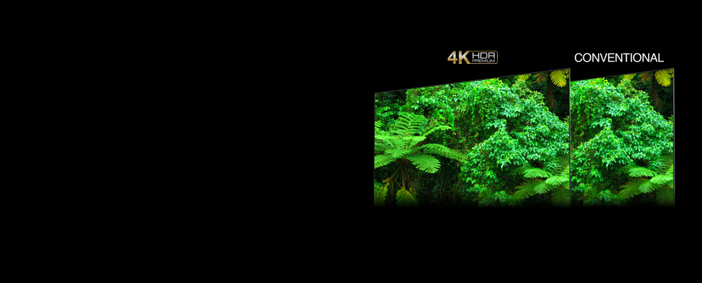 4K HDR PREMIUM - see picture details, brightness and accurate vivid colours