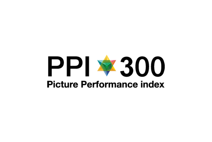 PPI 300