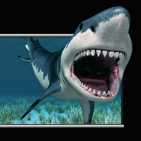 <b> HDMI 3D Display </b>