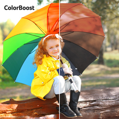 <b>Acer ColorBoost3D</b>
