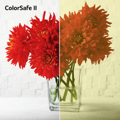 <b>Acer ColorSafe II</b>
