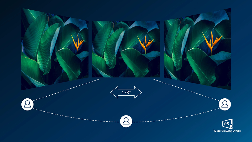 IPS technology for full colours and wide viewing angles