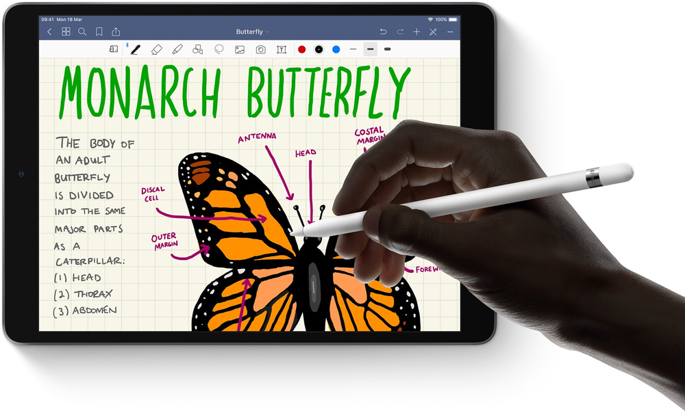 Apple Pencil. Write, draw, sign or sketch. Whenever inspiration strikes.