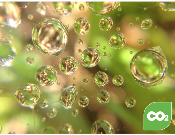 Il servizio CO2 Offset è incluso con l’acquisto di questo dispositivo!