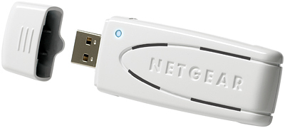 NETGEAR WN111-100FSS network card 300 Mbit/s