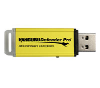 iStorage Defender Pro 2GB