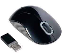 Targus AMW50CA mouse RF Wireless Optical 800 DPI