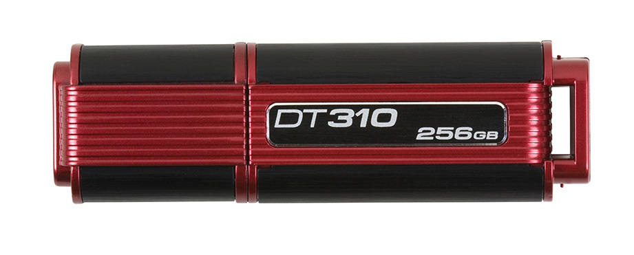 Kingston Technology 310 256GB – image 6