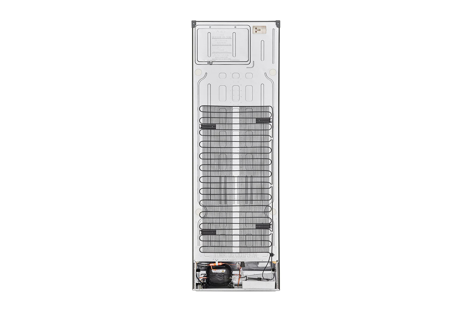 LG GBB61PZGGN fridge-freezer Freestanding – image 2