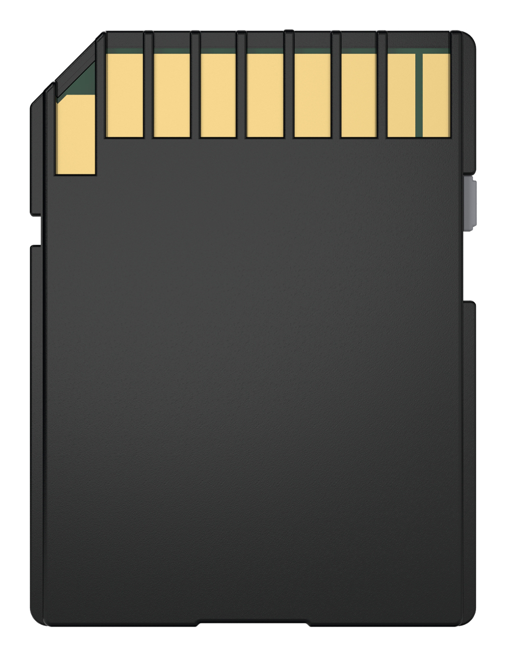 Biwin BMSD160256G-RGX memory card – image 5