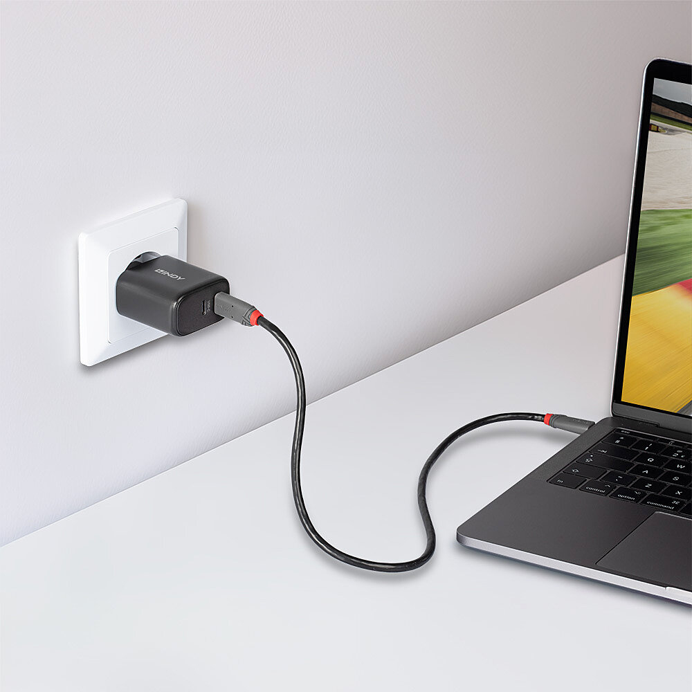 LINDY USB-C Ladegerät 2-Port GaN Charger 65W, schwarz