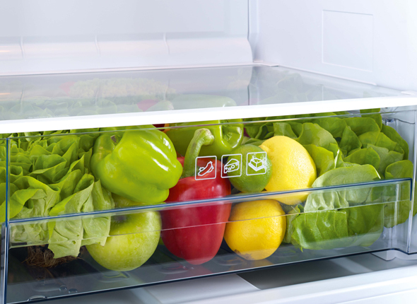 Beko TSE1403FN fridge Freestanding – image 5