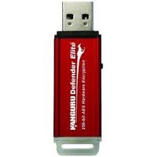 iStorage Kanguru KDFE4GRED USB flash drive