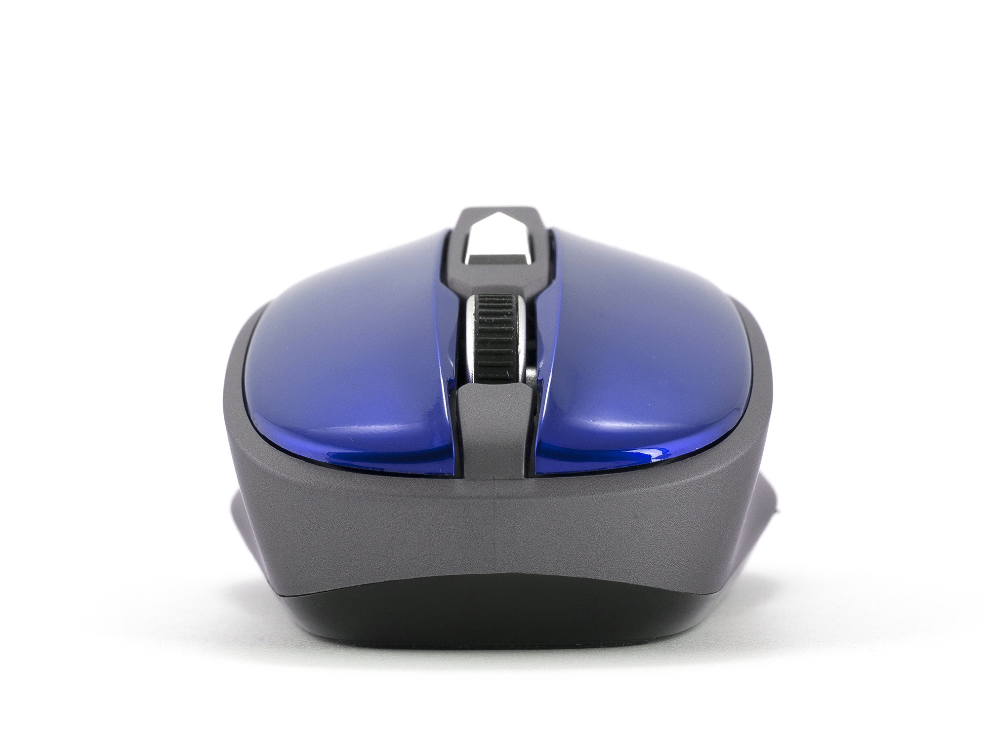 NGS Roly blue – image 3