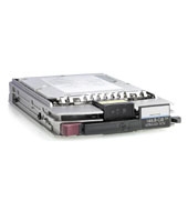 HP 146 GB (10K rpm) U320 SCSI Disk