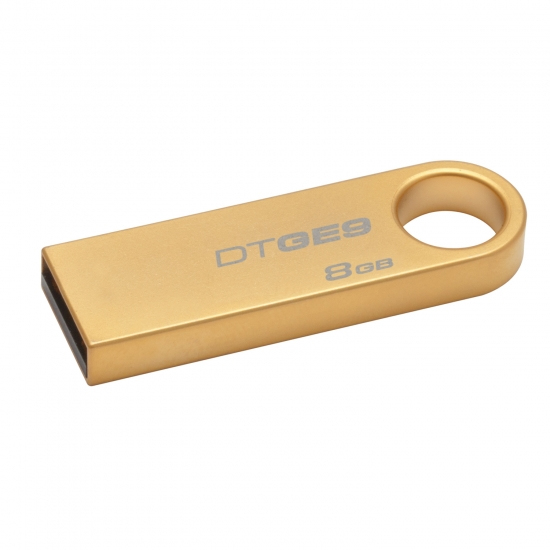 Kingston Technology GE9 8GB Co-Logo – image 1
