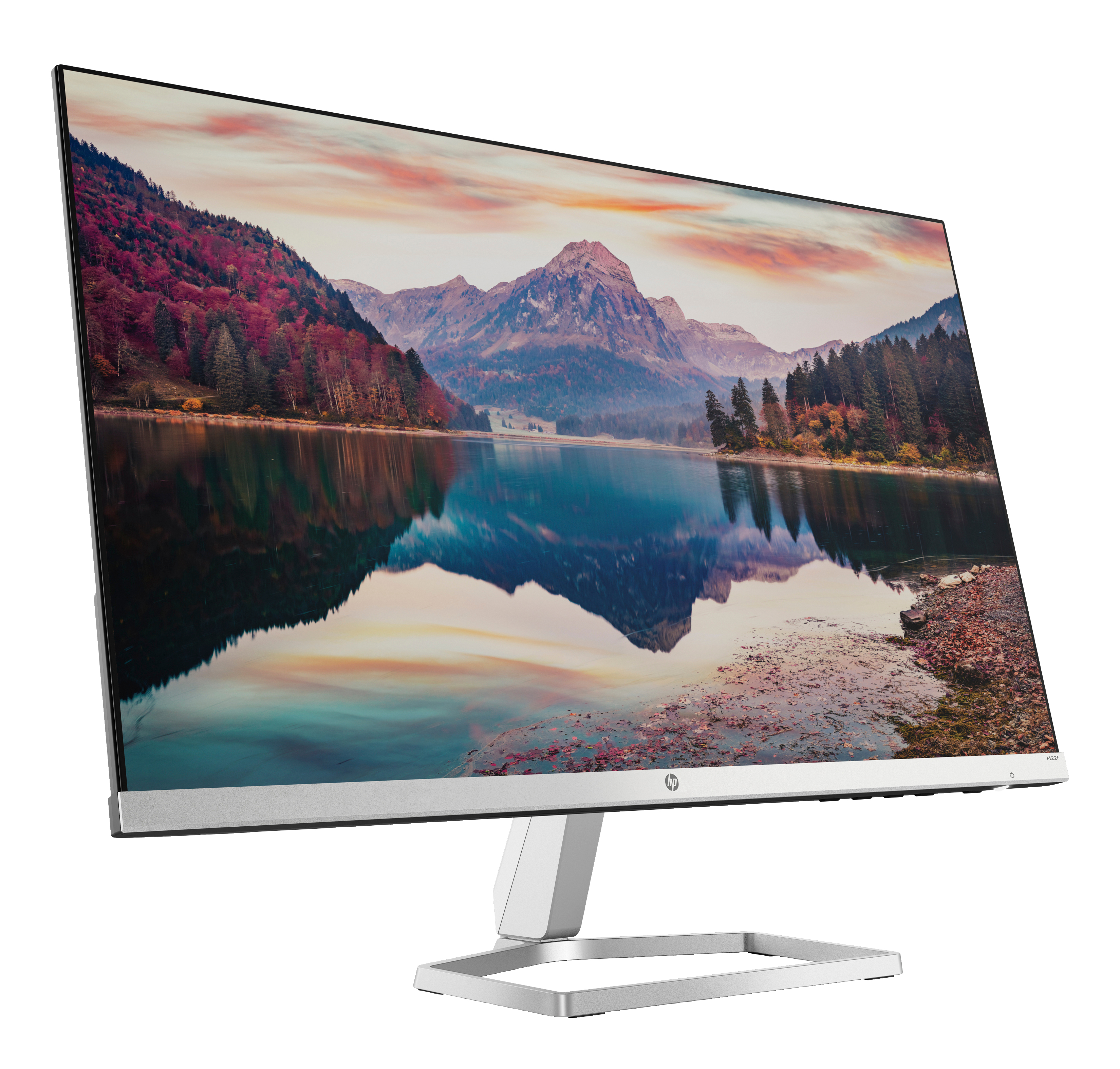 HP M22f FHD Monitor 