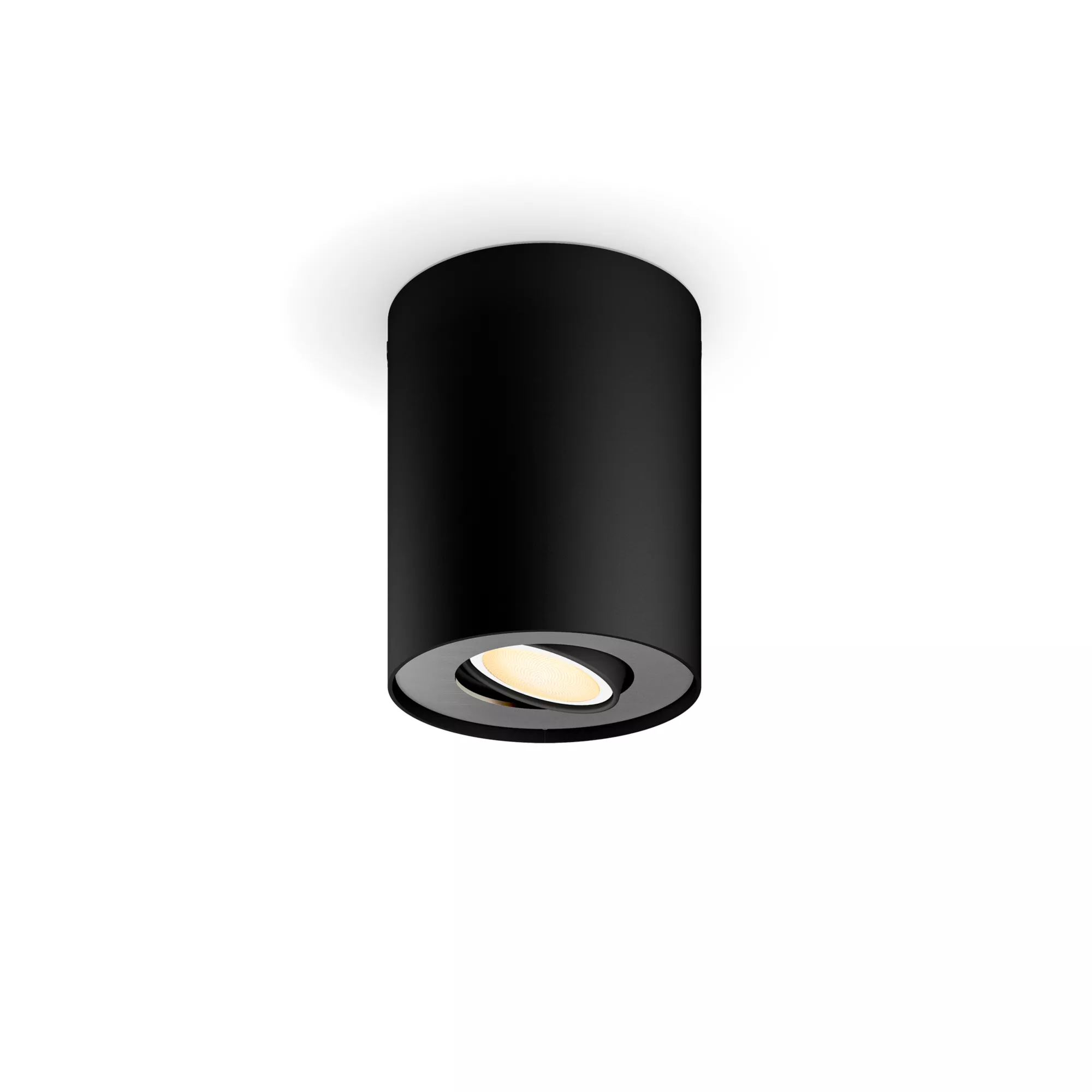 Philips by Signify Ext. spot unique Pillar