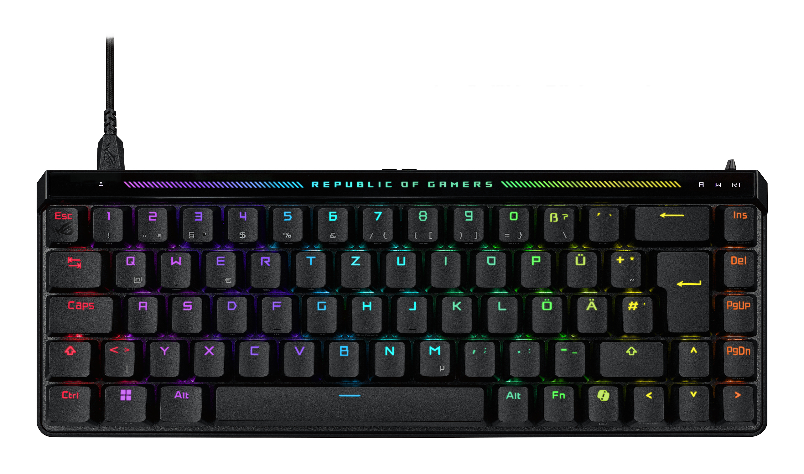 Product Gallery