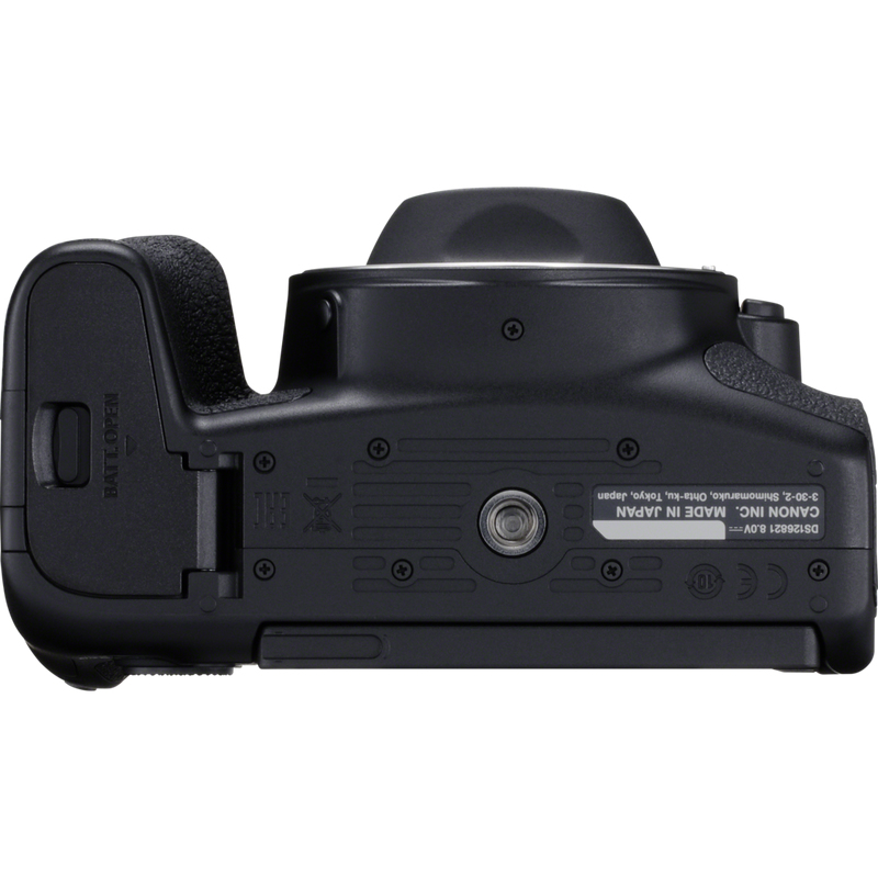 Canon 850D + EF-S 18-135mm f/3.5-5.6 IS USM – image 5