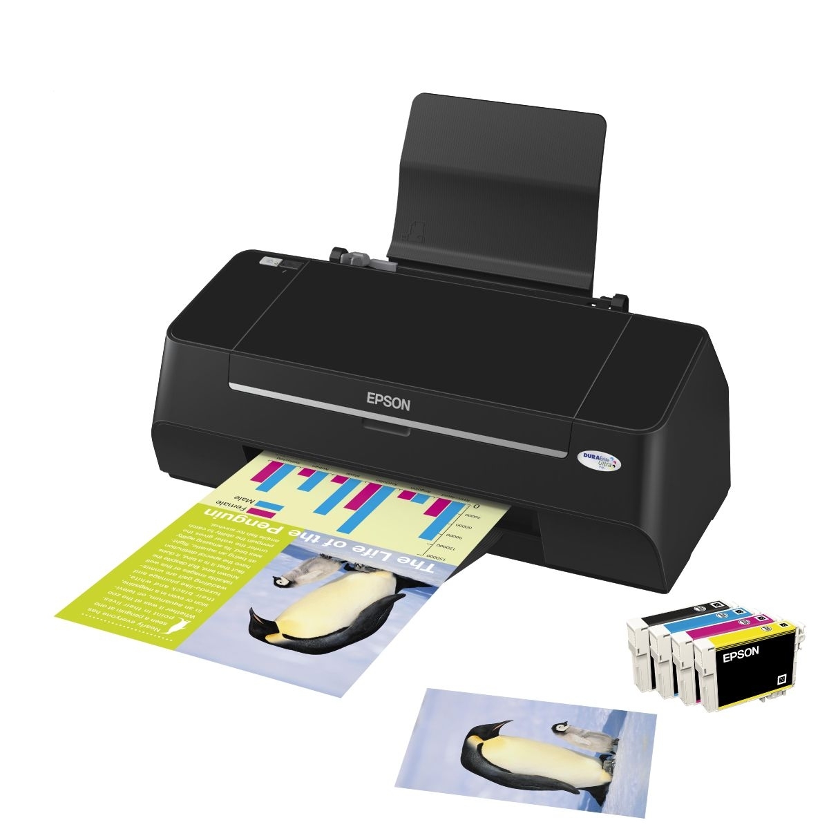 Epson Stylus S21