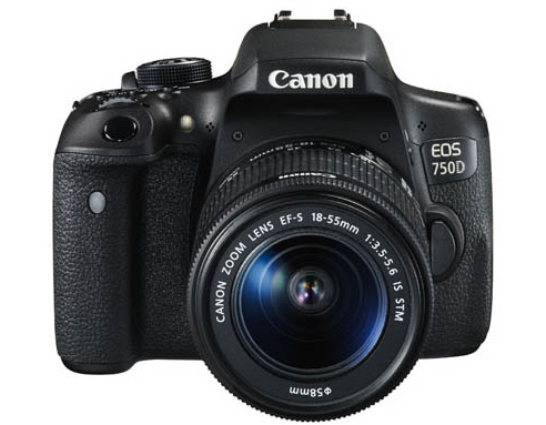 Canon 750D + EF-S 18-55mm IS STM + CS100