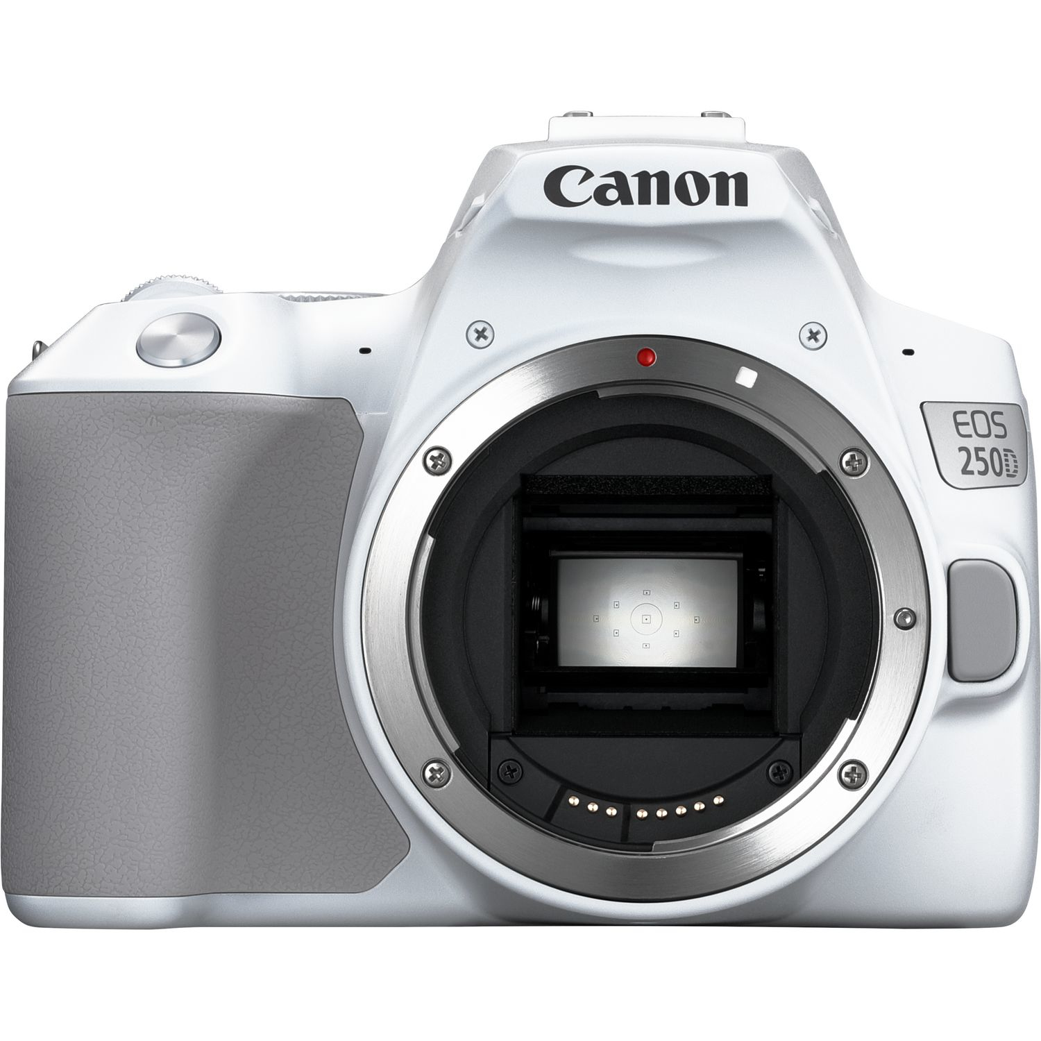 Canon 250D + EF-S 18-55mm f/4-5.6 IS STM – image 2