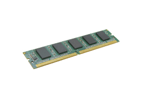 Kingston Technology ValueRAM KVR13LW9S8L/4 memory module