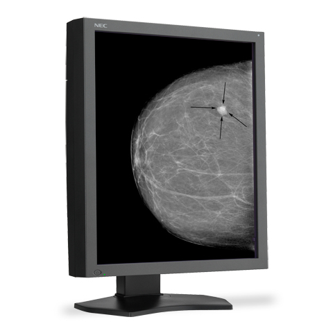 NEC MD215MG-S5 computer monitor – image 7