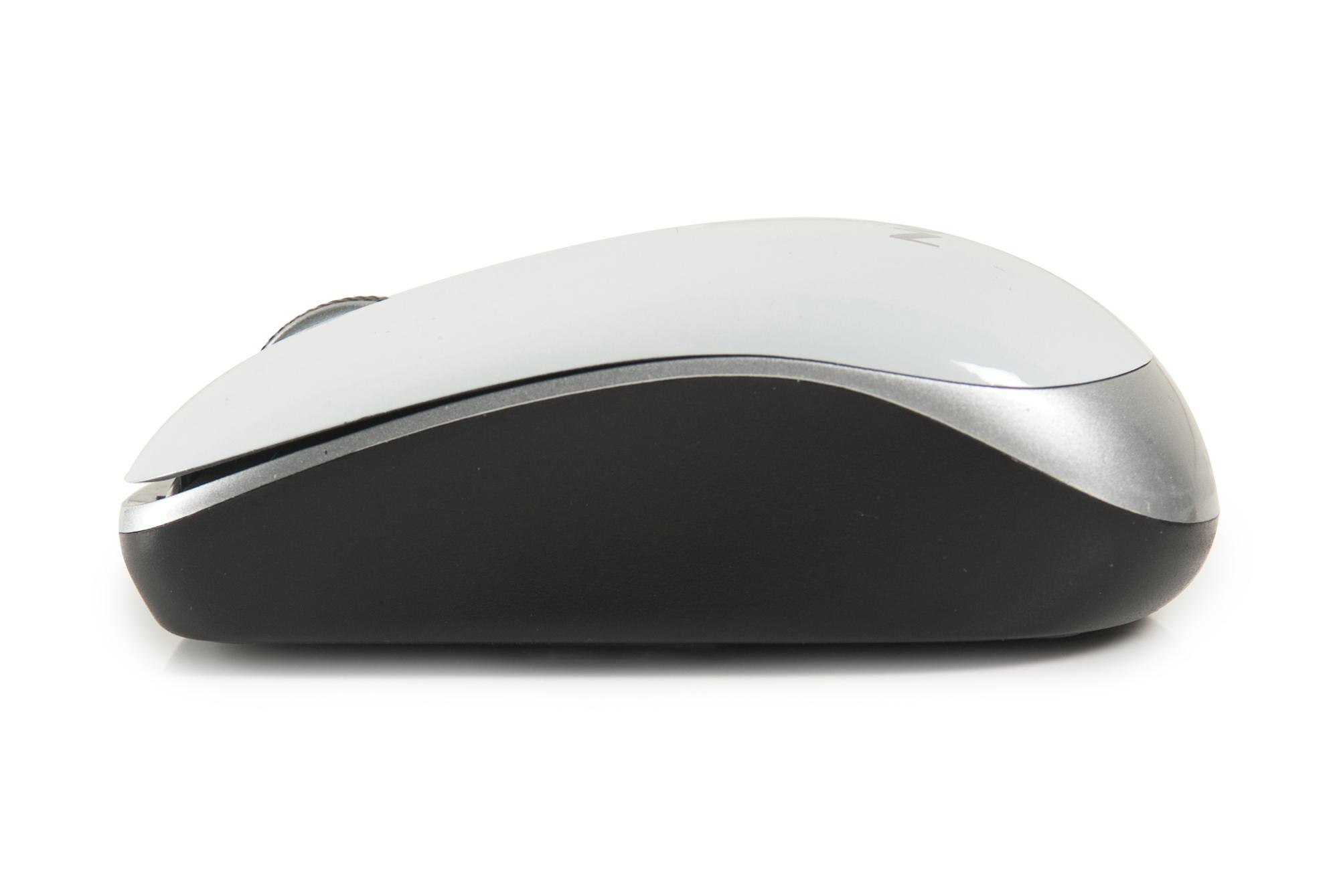 NGS White Spice – image 7