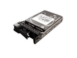 Lenovo ThinkServer 1TB SATAII HDD